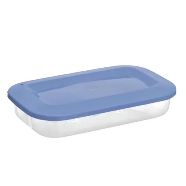 POTE HERMÉTICO 2470 ML RETANGULAR RASO G REF: 860