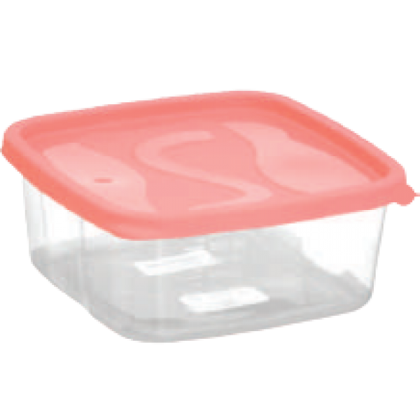 POTE SANCLICK QUADRADO 700 ML REF: 70107