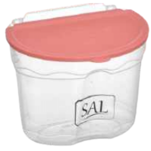 SALEIRO SANTANA REF: 153